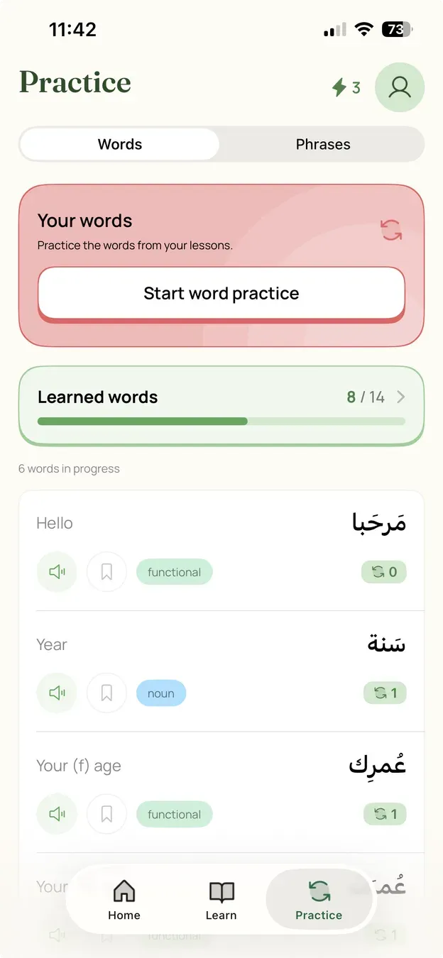 The practice screen, showing a vocabulary set